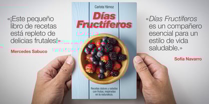 Neue Helvetica Paneuropean Font Poster 4